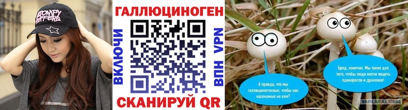 Псилоцибиновые грибы MAGIC MUSHROOMS дарнет шоп Гудермес